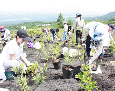 KWU富士山の森づくり